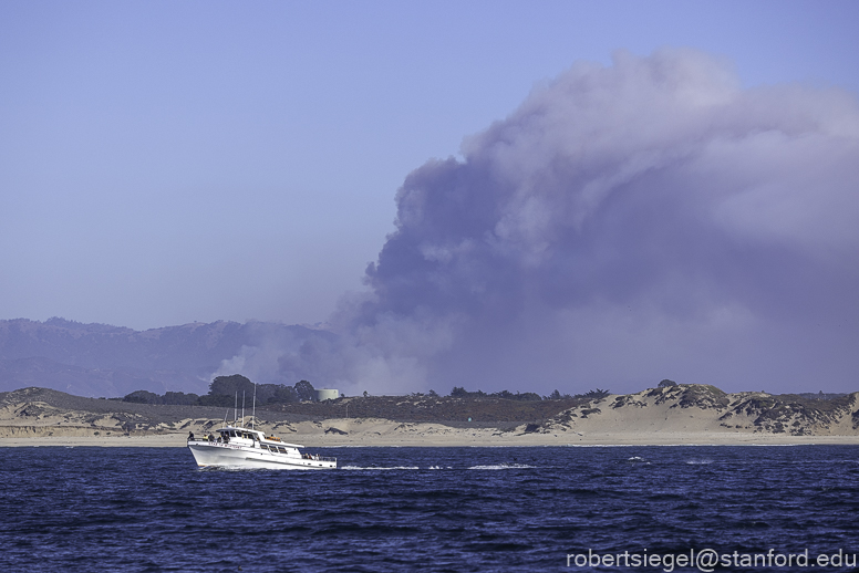 Monterey Bay whale watching